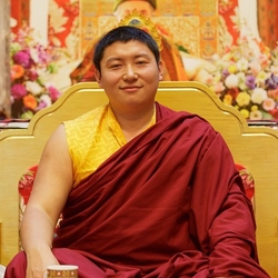 /imager/images/11533/Phakchok-Rinpoche-Lerab-Ling-2012_712c4e757e7f11f90332598bd8911e79.jpg