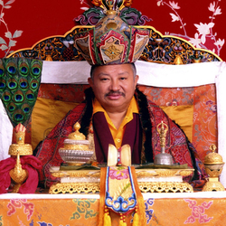 /imager/images/12385/Tsikey-Chokling-Rinpoche_712c4e757e7f11f90332598bd8911e79.jpg