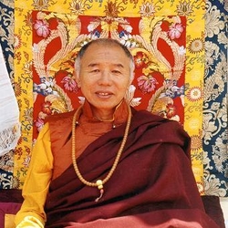 /imager/images/927/Tulku_Urgyen_Rinpoche_93eca88ab369005d17d77b1996ea7170.JPG